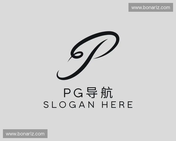 认识pg导航官网